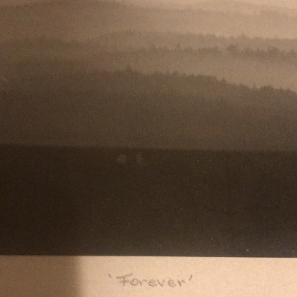 1995 Devin MacDonald art work pencil “Forever” Signed - Picture 6 of 7